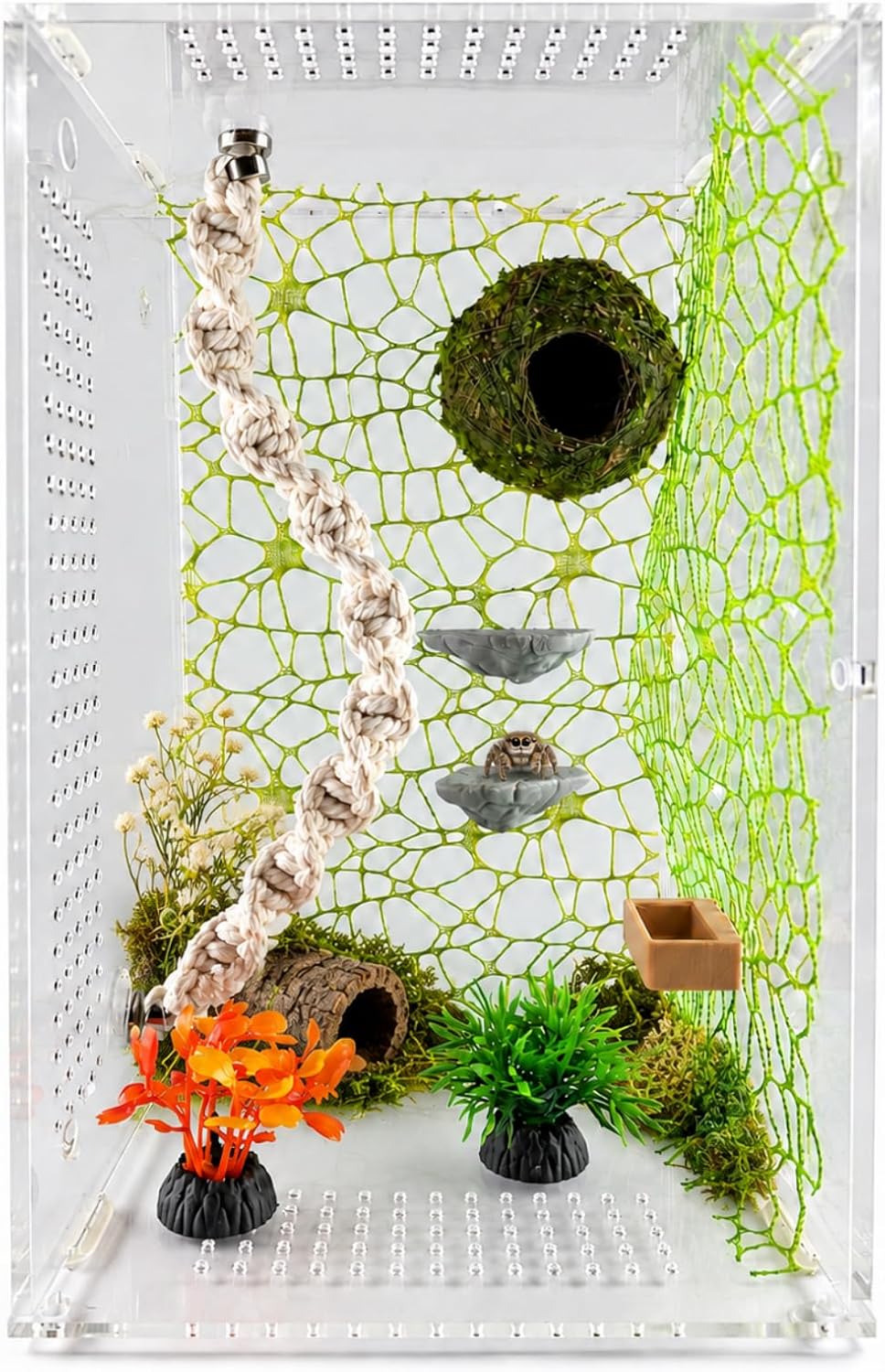 Jumping Spider Enclosure Accessories Kit Natural Habitat