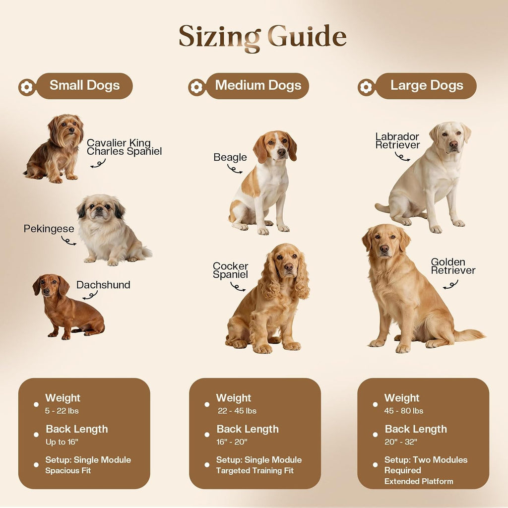 Solid Wood Dog Training Platform, Non-Skid Dog Place Board with Carpet Surface, Portable Dogs Agility Equipment, Connectble Dogs Training Floor Protection Trays for Behavior Basics, 24x16in