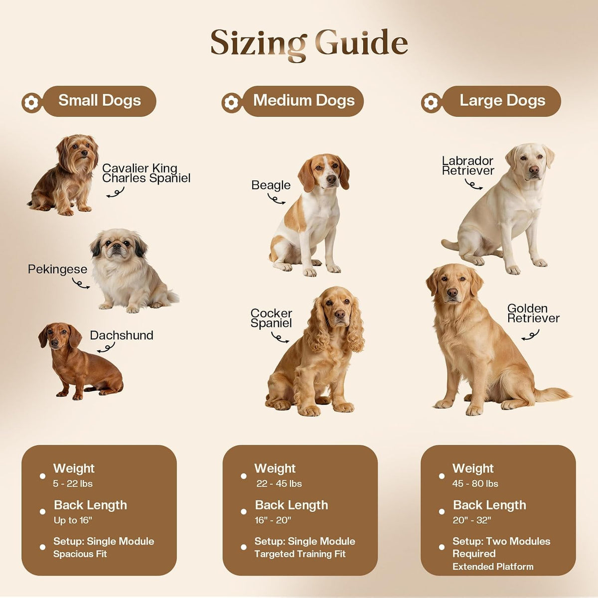 Solid Wood Dog Training Platform, Non-Skid Dog Place Board with Carpet Surface, Portable Dogs Agility Equipment, Connectble Dogs Training Floor Protection Trays for Behavior Basics, 24x16in