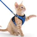 rabbitgoo Cat Harness and Leash by rabbitgoo