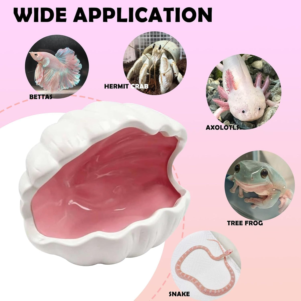 Axolotl Hide Ceramic Shell Shape Fish Tank Cave Set