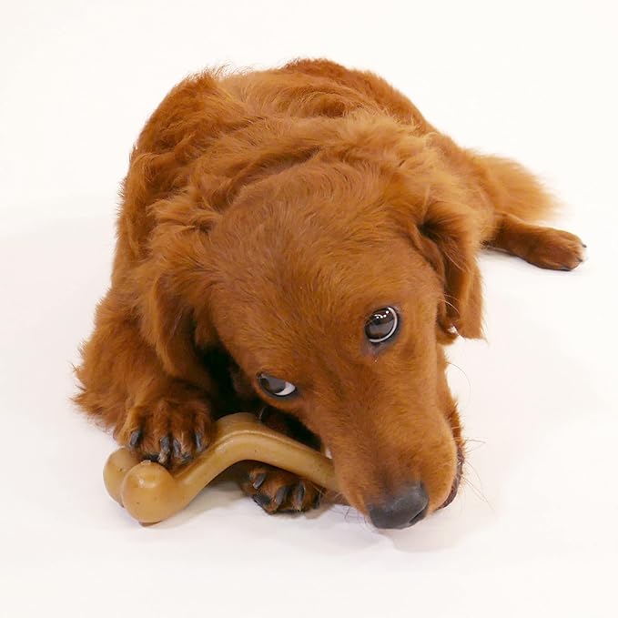 Nylabone Gourmet Style Wishbone Strong Chew Toy - Image 7