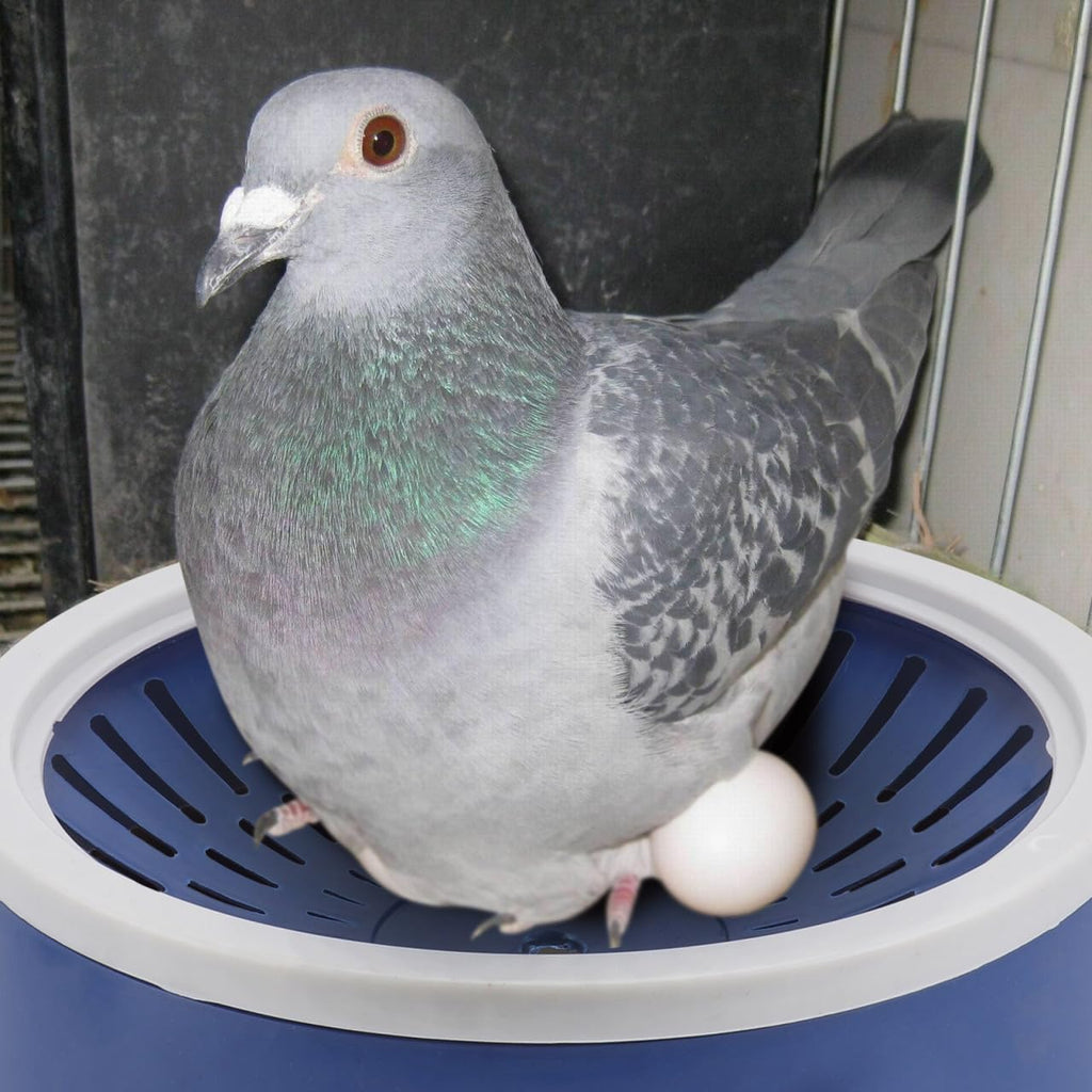 UKCOCO Pigeon Egg Nest Plastic 8.66 X 8.66 X 2.36 in 5 Nests