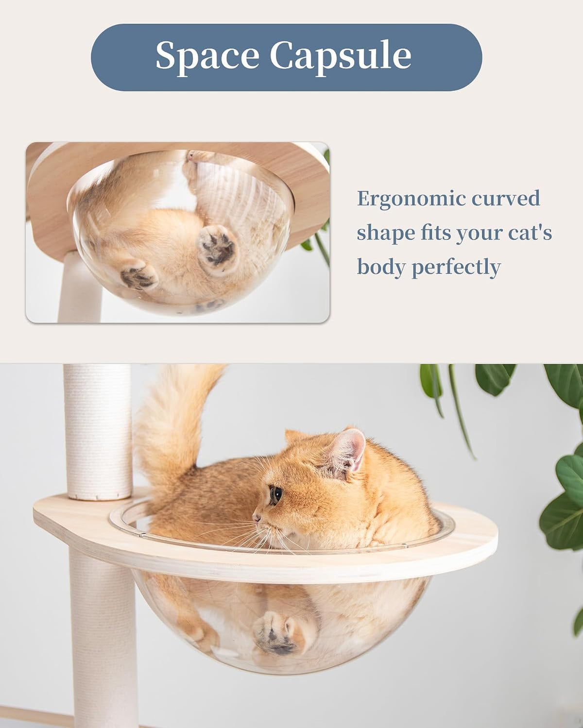 Wood Cat Tree for Indoor Cats, 53 inch Cats Furniture Tower with Large Platforms, Clear Bowl, Full Sisal Scratching Posts, Water Proof Surface