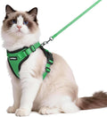rabbitgoo Cat Harness and Leash by rabbitgoo