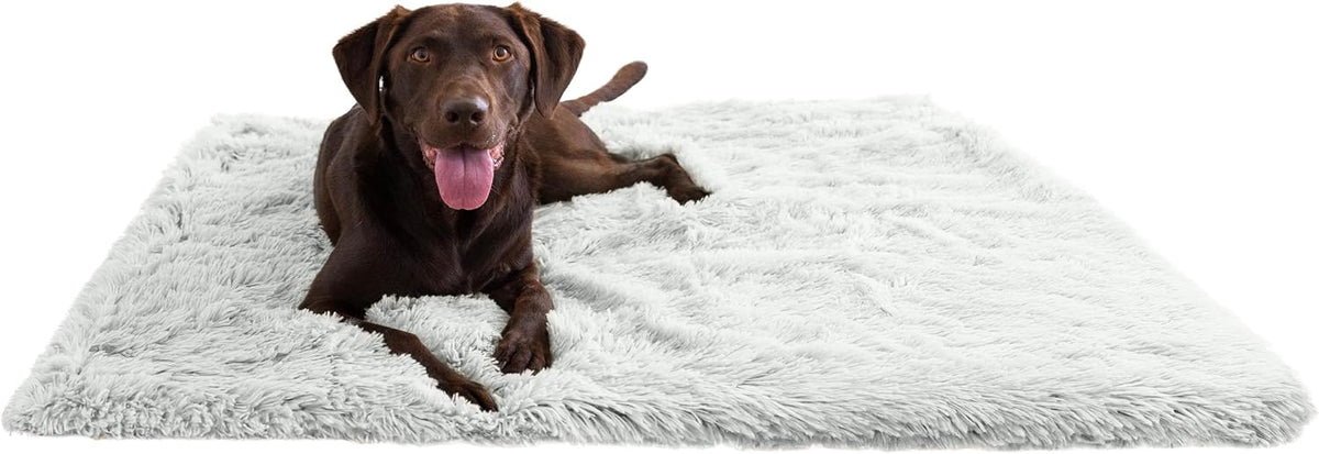 Best Friends by Sheri Calming Shag Dog Blanket – Ultra Soft Faux Fur Pet Throw, Anxiety-Relief, Lightweight Warm Bed Cover for Dogs and Cats, Machine Washable, Frost Gray, 40" x 50"