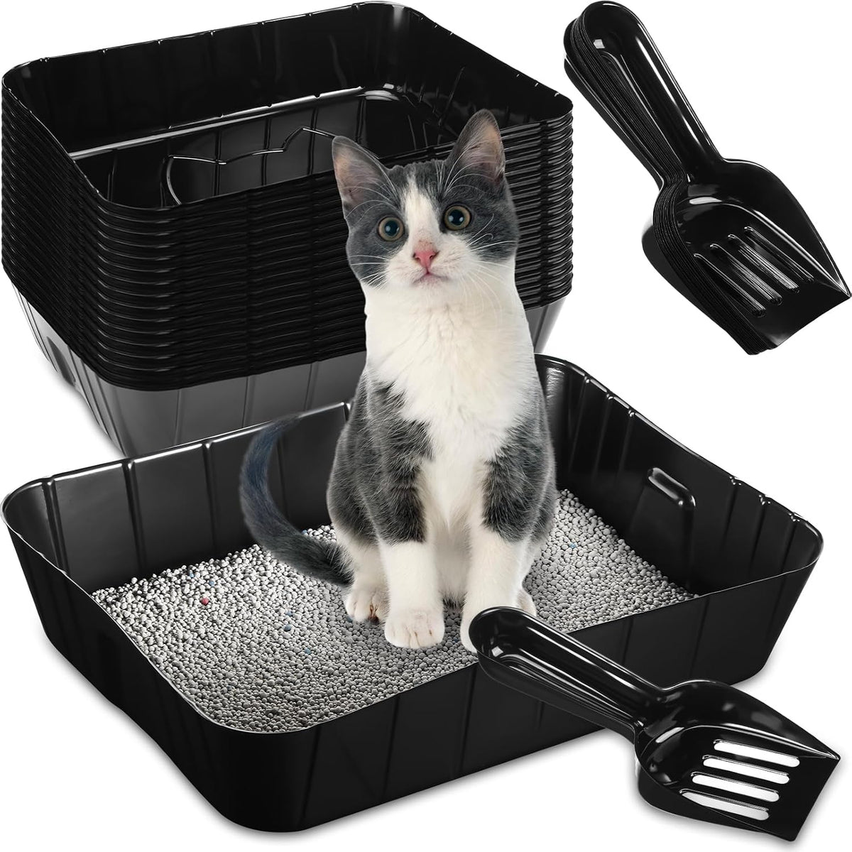 Bokon Pcs 50 Disposable Litter Boxes for Cats with Scoop, Black