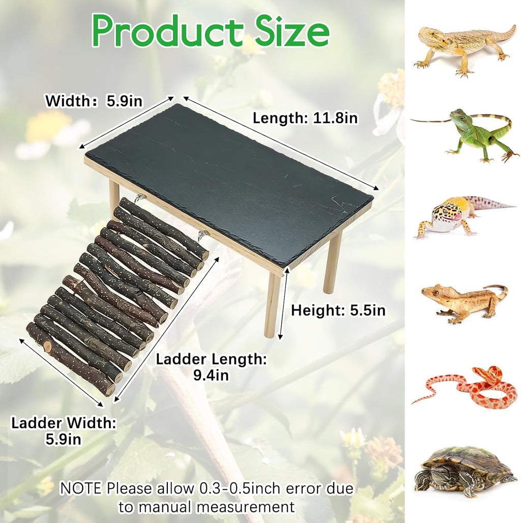 BNOSDM Bearded Dragon Basking Rock Platform with Climbing Ramp Reptiles Hideout Hide Cave Reptile Tank Accessories Suit for Tortoise, Lizard, Toad, Gecko (Small)