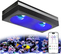PopBloom RL180 Pro WiFi LED Reef Aquarium Light, 200W for LPS SPS Corals