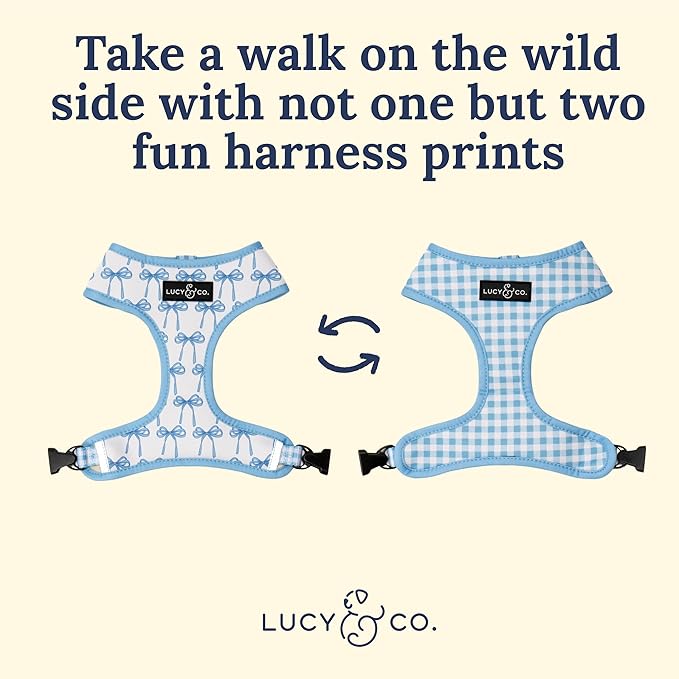 Lucy & Co. Cute Reversible Dog Harness Walking Halter - Image 3