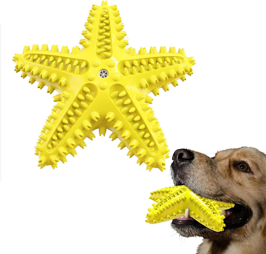 Squeaky Chew Toy - Starfish Water Floating Toy for Dogs, Natural Tooth Brush Teeth Cleaning for Small Medium Dogs - Blue