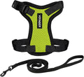 Voyager Escape-Proof Step-in Lock Cat Harness & 5ft Neoprene-Handle Leash Set by BestPetSuppliesLLC
