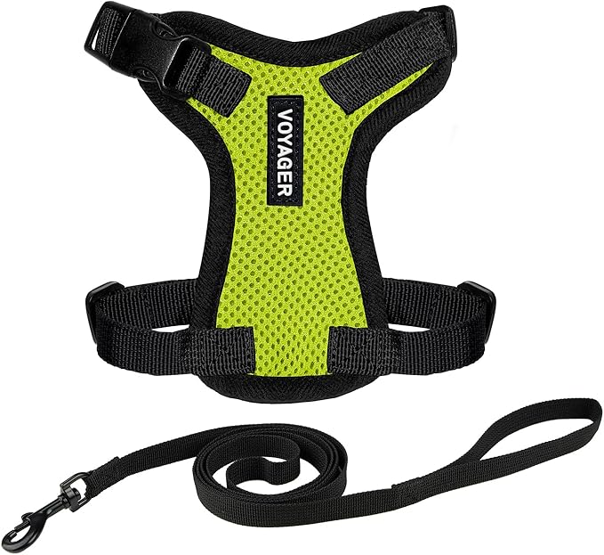 Voyager Escape-Proof Step-in Lock Cat Harness & 5ft Neoprene-Handle Leash Set by BestPetSuppliesLLC