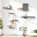5-in-1 Cat Wall Shelves, Solid Wood Cat Wall Furniture Set for Indoor Cats