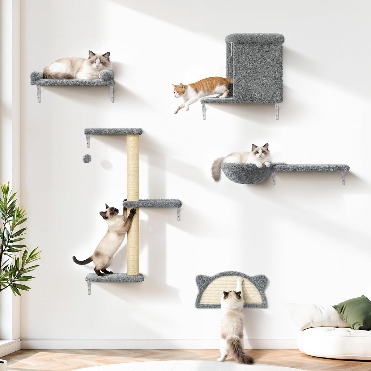 5-in-1 Cat Wall Shelves, Solid Wood Cat Wall Furniture Set for Indoor Cats