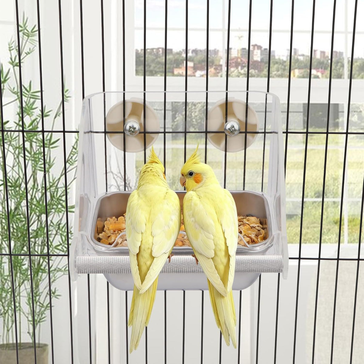 Hypeety Transparent No Mess Bird Feeder for Cage with Anti-Slip Perch