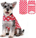 EXPAWLORER Cat Valentines Outfit Sweater by EXPAWLORER