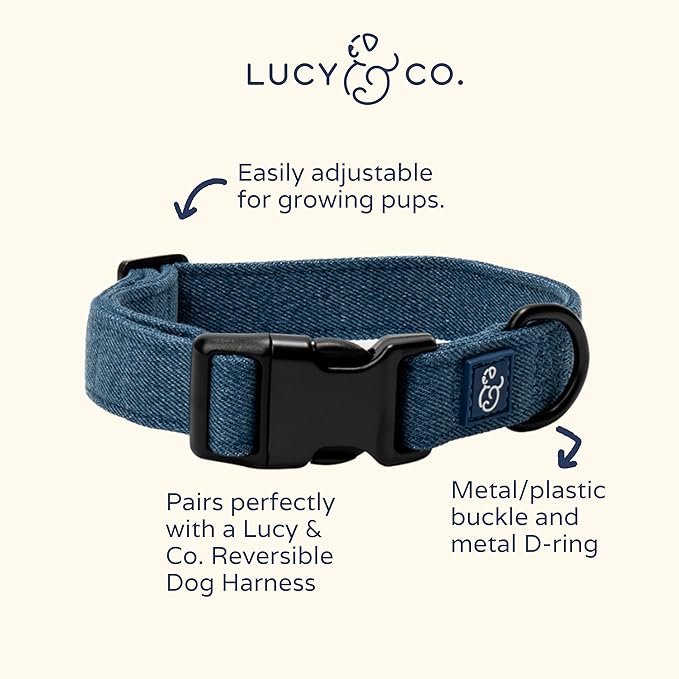 Lucy & Co. Dog Collar - Image 3