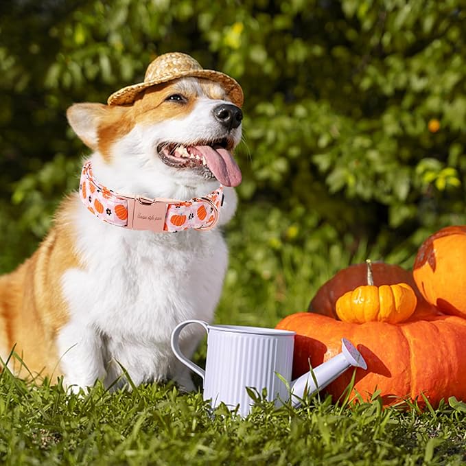 Unique style paws Dog Collar Metal Buckle Collar - Image 5