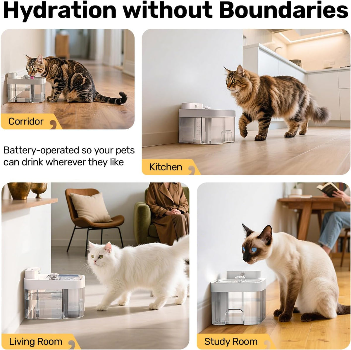 Filterless Cat Water Fountain - Wastewater Separation Pet Dispenser