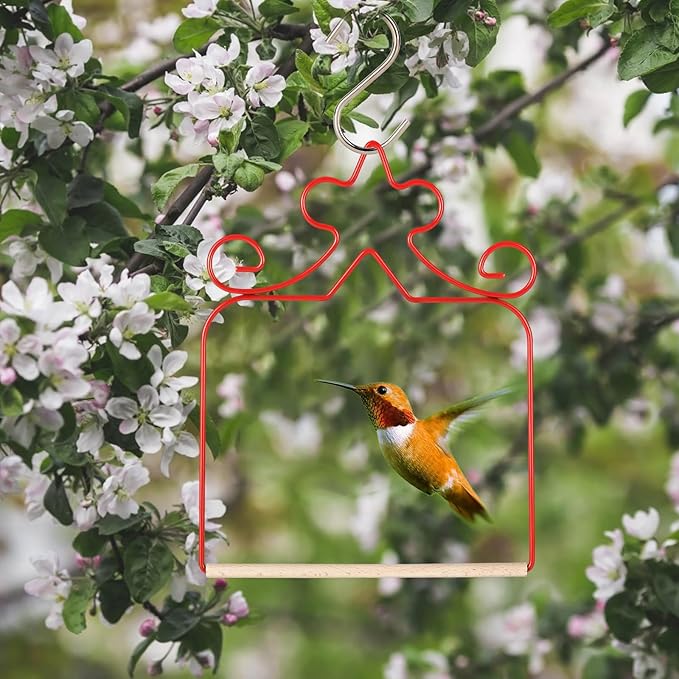 Hummingbird Swings 4 Pack, Rust Resistant Metal Frame - Image 5