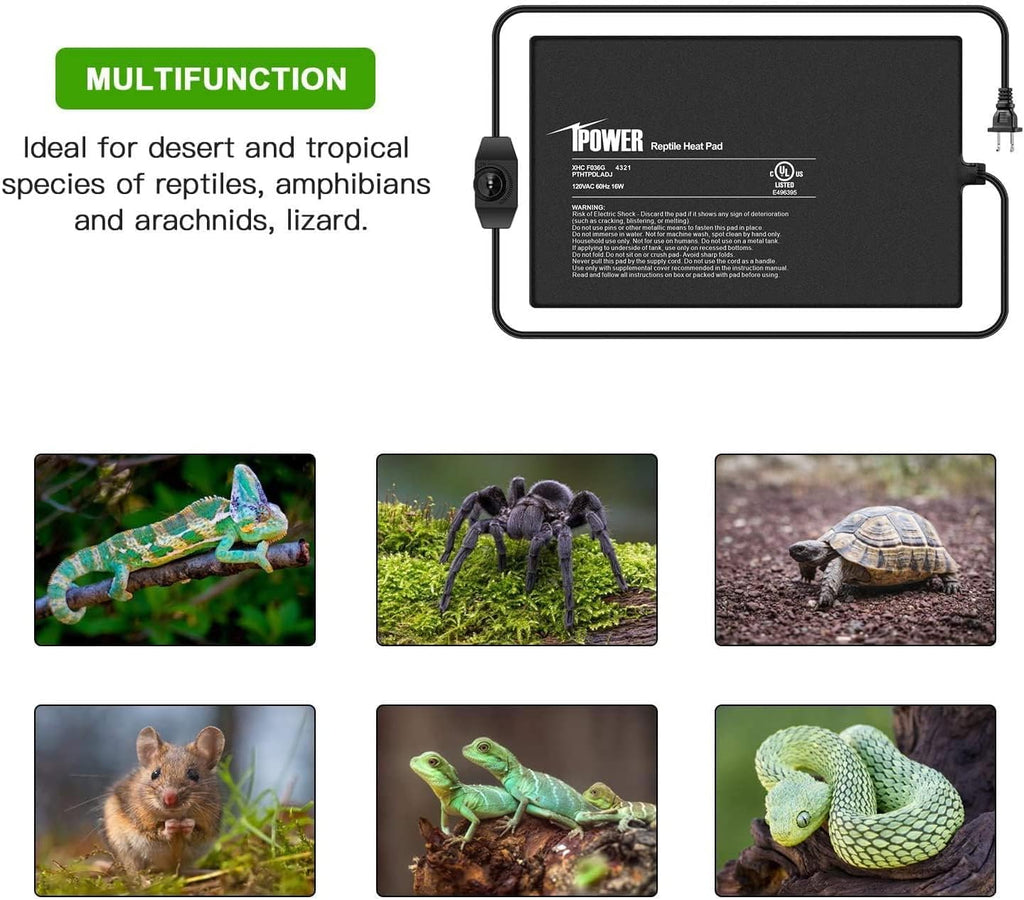 iPower 8 by 12 Inch Reptile Heating Pad with Temperature Adjustable Controller Knob, Under Tank Warmer Terrarium Heat Mat for Reptiles and Amphibians