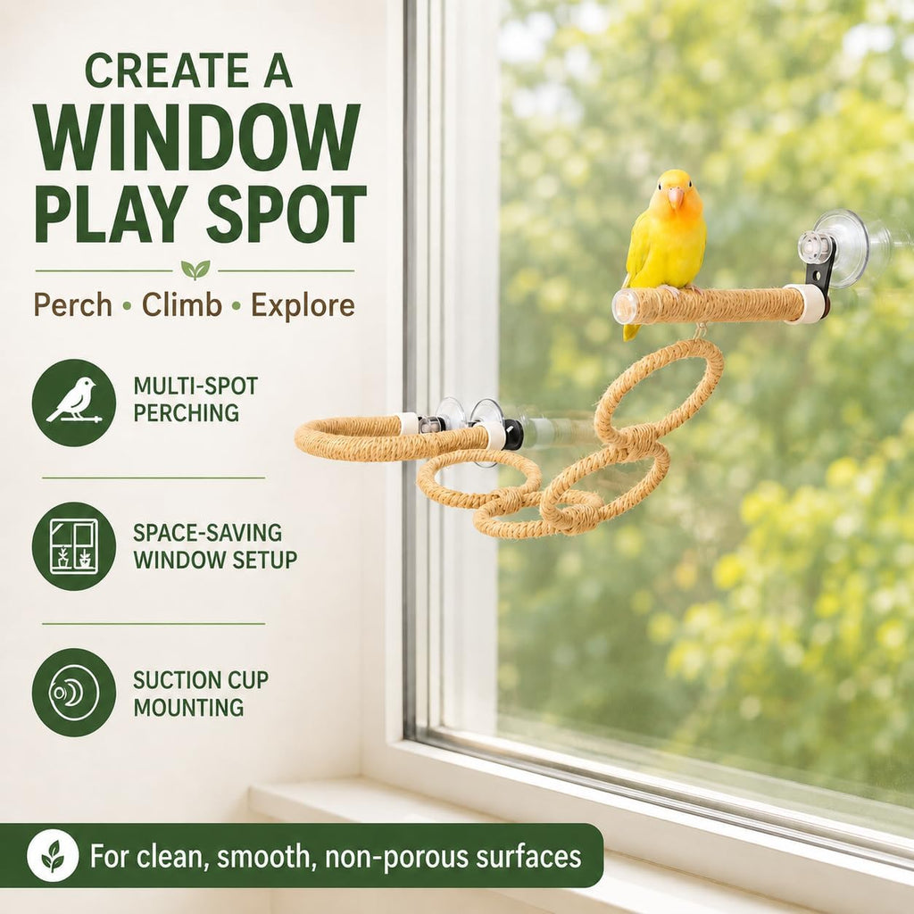 Bird Window Perch with Climbing Rings and Suction Cups for Parrots
