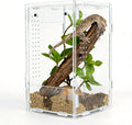 5x5x8 Acrylic Reptile Enclosure - Clear Small Pet Terrarium