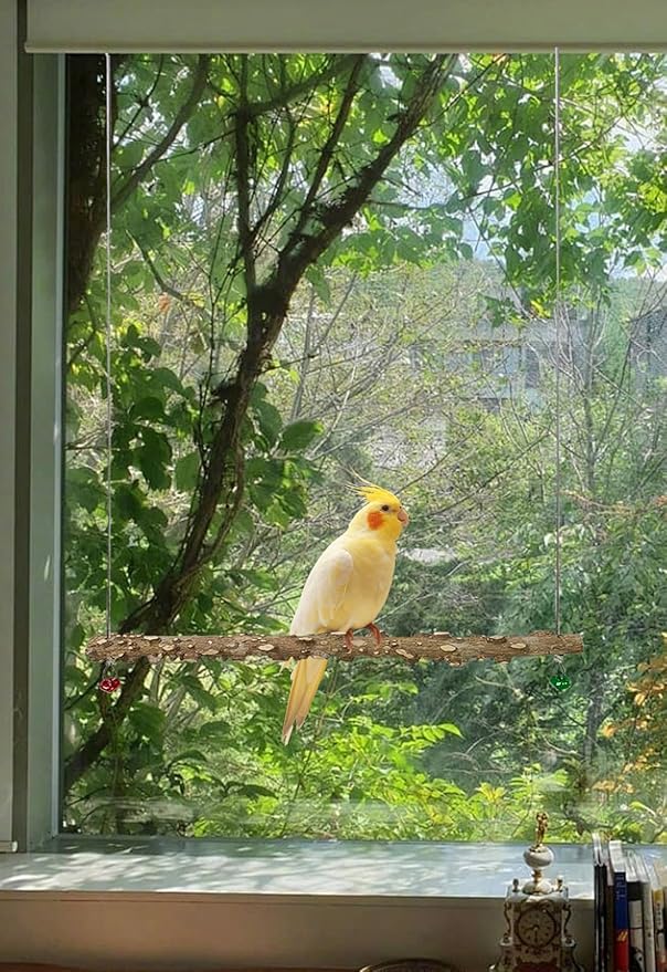 FlidRunest Bird Parrot Swing Toy, Natural Pepper Wood Bird Perch Stand - Image 3