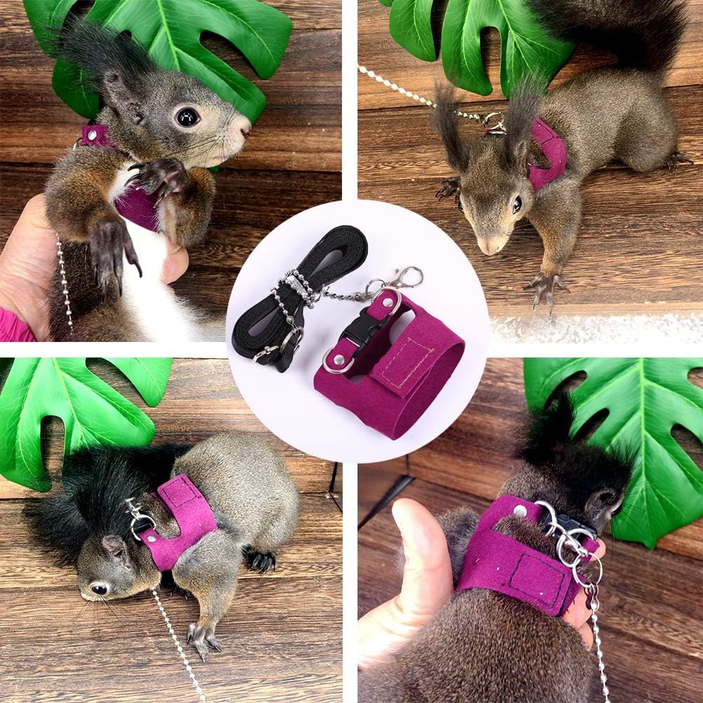 Squirrel Traction Rope with 1.8m Lead Leah, Adjustable Small Animal Walking Harness, Anti-Biting Chain Rope Vest Strap for Hamster Gerbil Rat Mouse Ferret Chinchilla and Small Animals