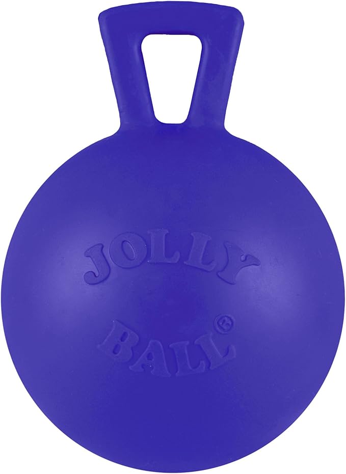 Jolly Pets Tug-n-Toss Heavy Duty Dog Toy Ball by JollyPets