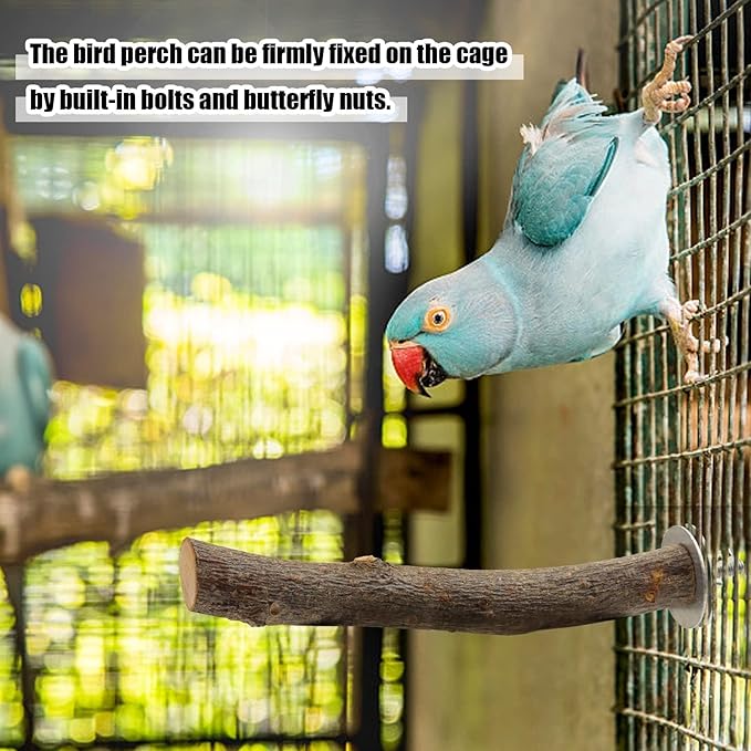 8 PCS Natural Bird Perch Set - Image 9