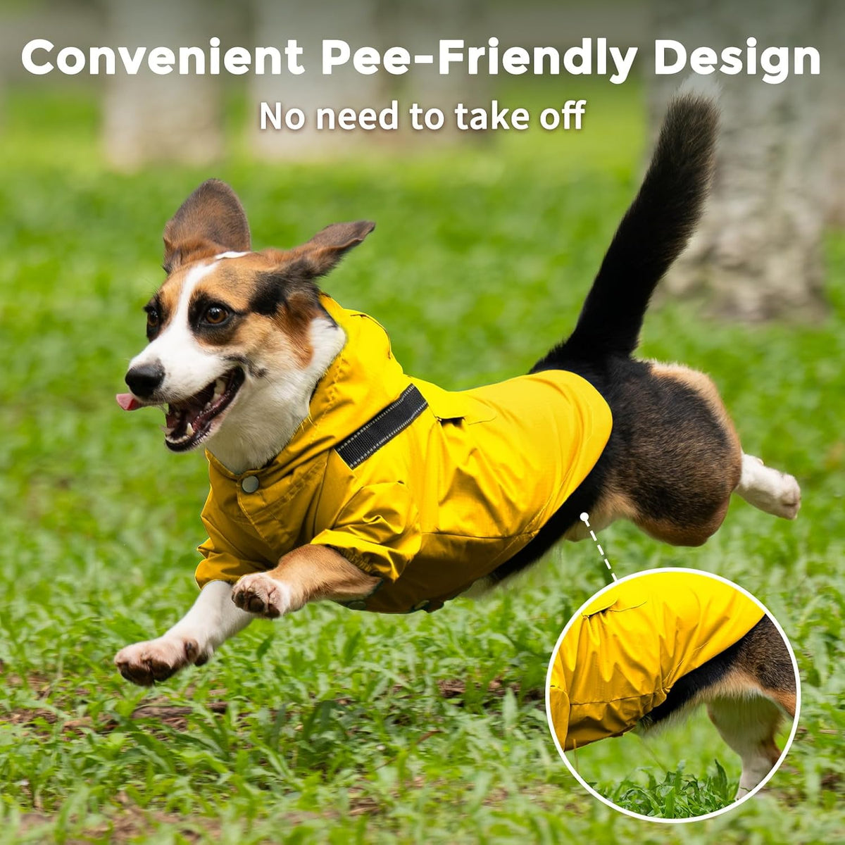 JoyDaog Dog Raincoat with Hood, Waterproof Dog Rain Jacket for Small Dogs
