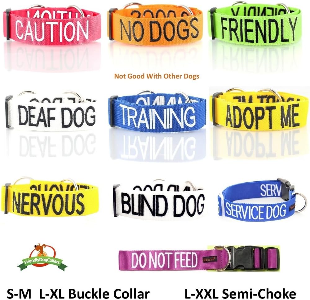 Adopt ME Yellow Color Coded 2 4 6 Foot Padded Dog Leash (New Home Needed) Donate to Your Local Charity (4 Foot Leash)