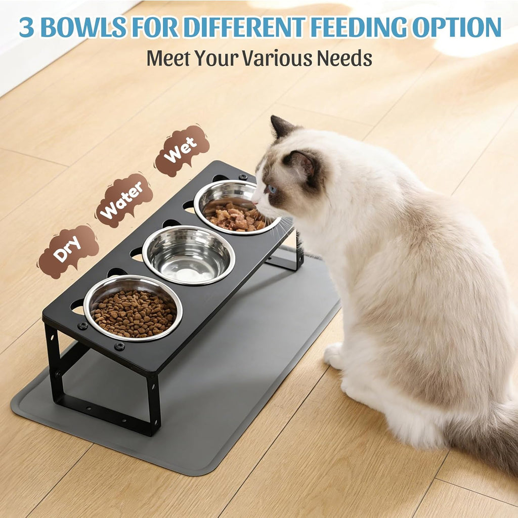 Upgraded Elevated Cat Bowls with Food Mat for Indoor Cats, Black