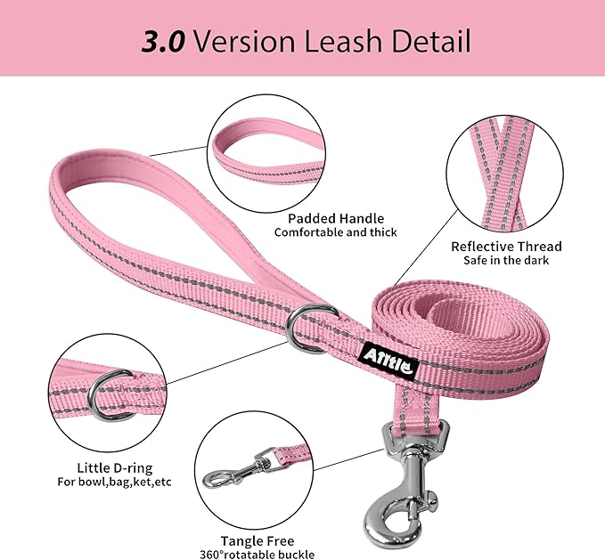 AIITLE Easy Walk Dog Harness and Leash Set - Image 6