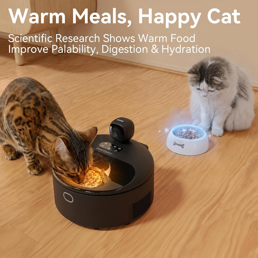 Wet Food Automatic Cat Feeder with Camera, 5 Meals, Black