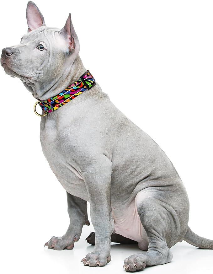 Reflective Dog Collar for Medium Dogs, Cute Boho Adjustable Heavy-Duty Nylon - Image 2
