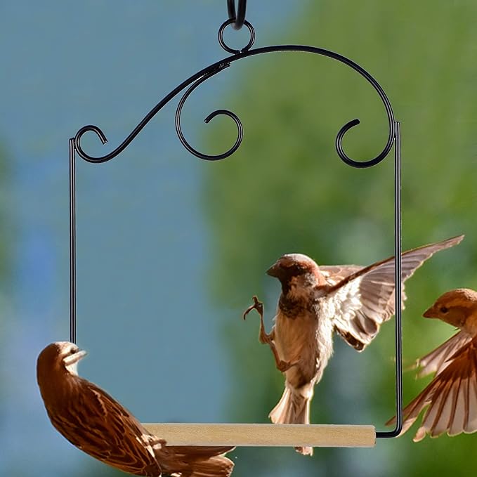 winemana Set of 3 Hummingbird Swings, Rust Resistant Metal Frame, Wooden Dowel - Image 6