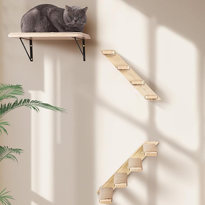 Wall Mounted 1 Pack Cat Shelf by PELUOMOZ