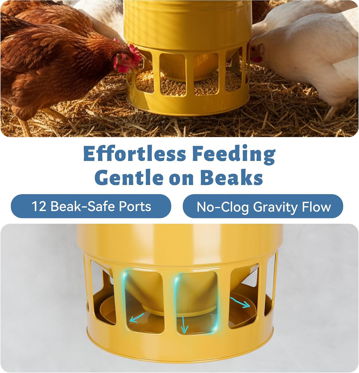 KOL Hanging Chicken Feeder 20lbs Capacity