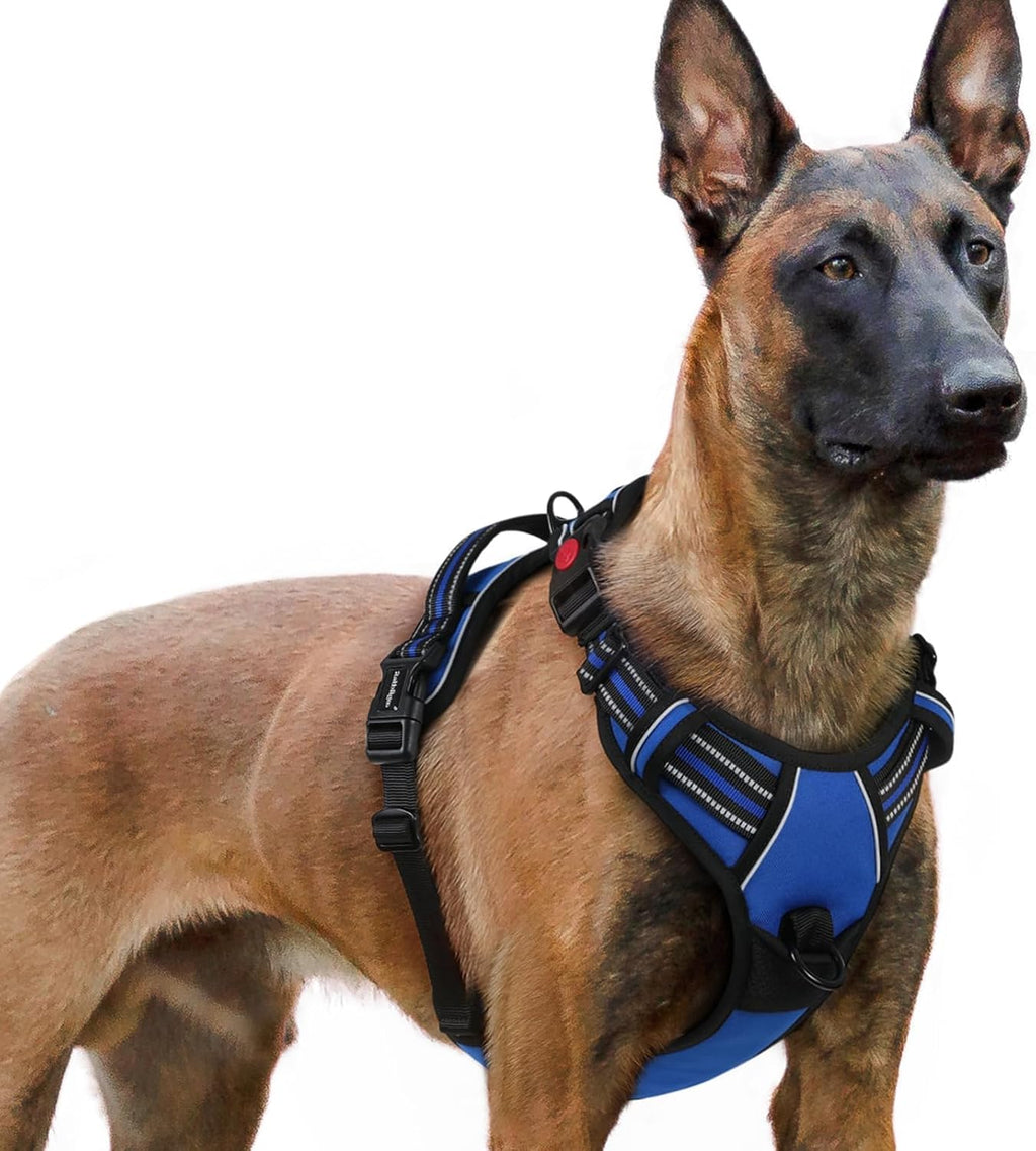 rabbitgoo Dog Harness for Large, Updated Easy On & Off with 3 Buckles