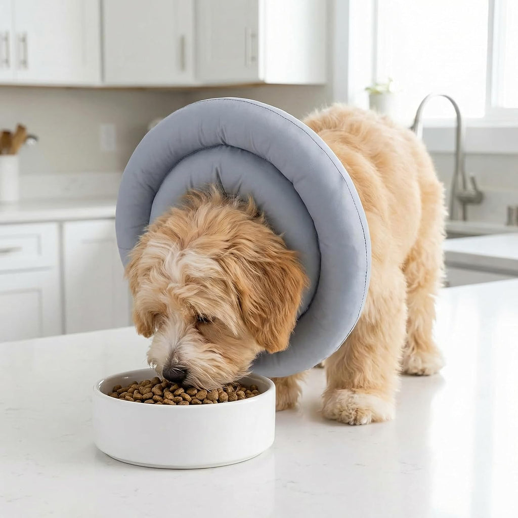 Soft Donut E-Collar Cone for Small Dogs & Cats, Waterproof Adjustable Recovery Protector After Surgery, Comfy Anti-Lick Bite Scratch Wound Guard