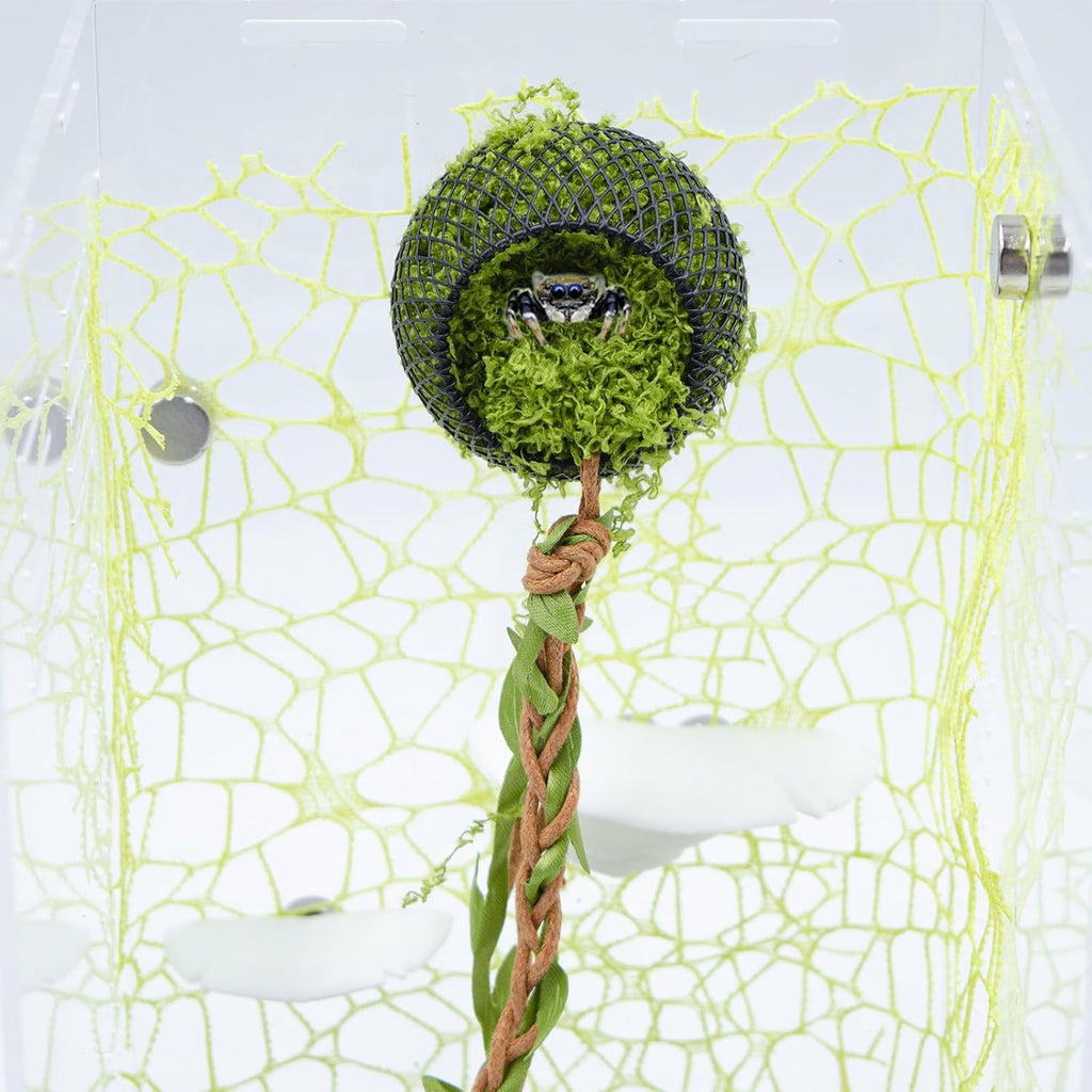 5 Pack Jumping Spider Enclosure Accessories, 1 Hollowed-Out Hideout with Climbing Rope, 2 Climbing Web, 2 Mushroom Habitat Platform, Jumping Spider Enclosure Decorations