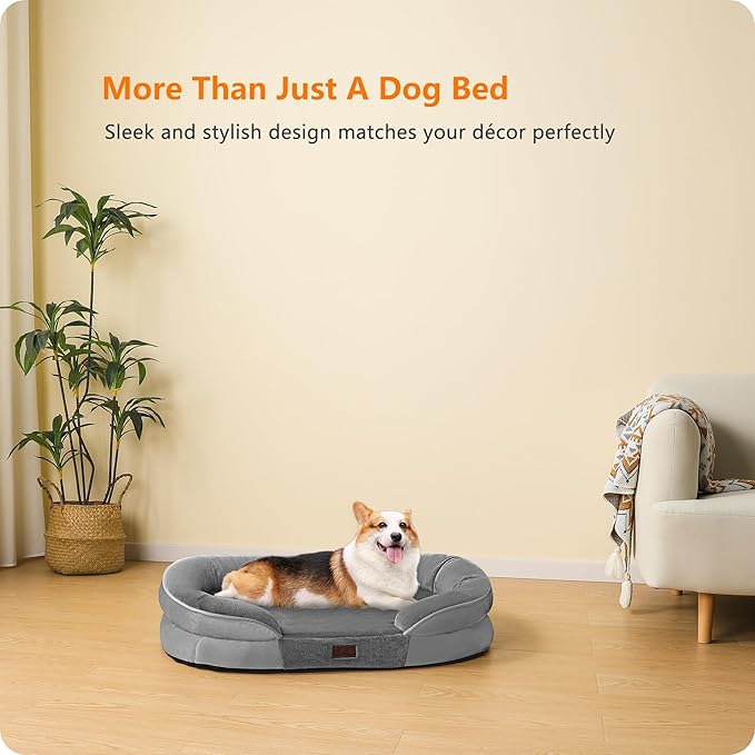 Dwanton Orthopedic Dog Bed for Medium Dogs - Image 9