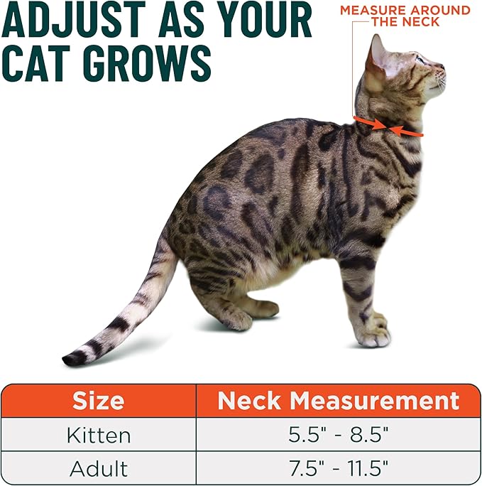 OutdoorBengal Blue Cat Collar Breakaway - Image 5