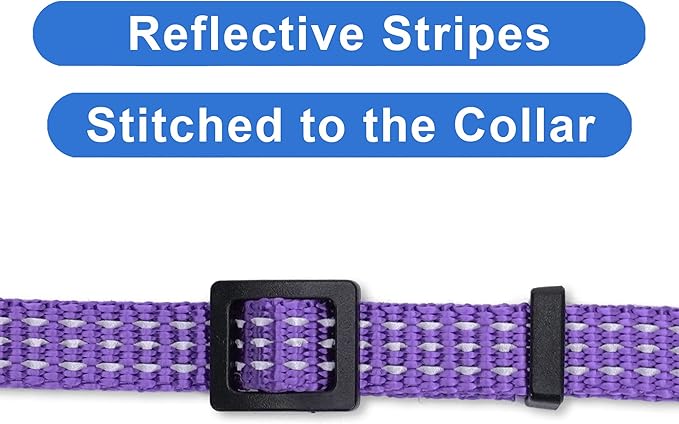 Pawtitas Reflective Purple Cat Collar - Image 4