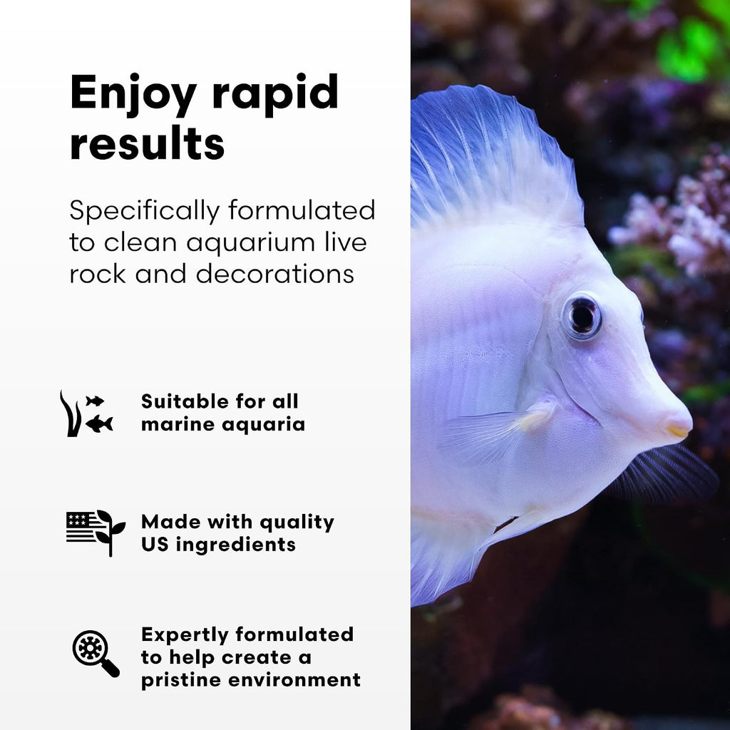 Brightwell Aquatics MicroBacter Clean Marine Aquarium Cleaner Aid, 250 ml