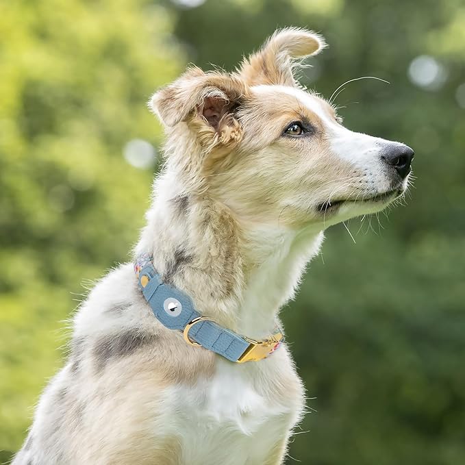 AirTag Dog Collar for Small Medium Large Breed - Image 7
