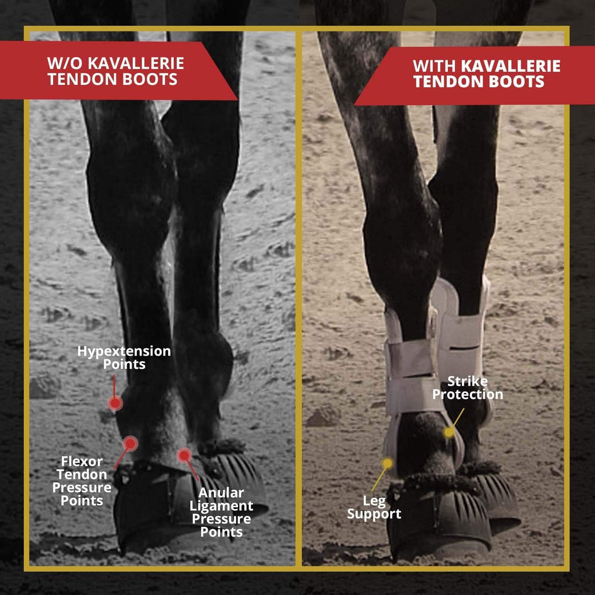 Kavallerie Classic Tendon Boots, Impact-Absorbing Material, Breathable & Evenly Distribute Pressure, Protect Tendon and Ligaments, Anti-Slip, Anti- Sore and Moisture Repellant Show Jumping Boots